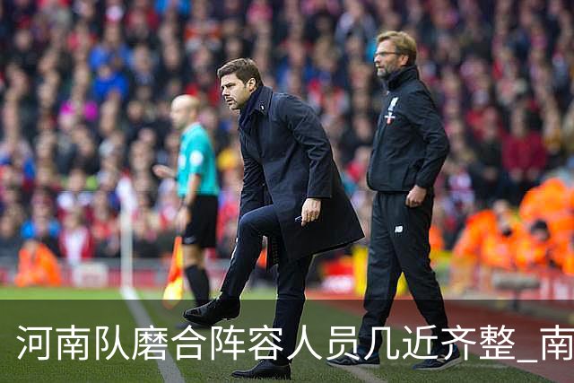河南队磨合阵容人员几近齐整 南基一剑指中超前六